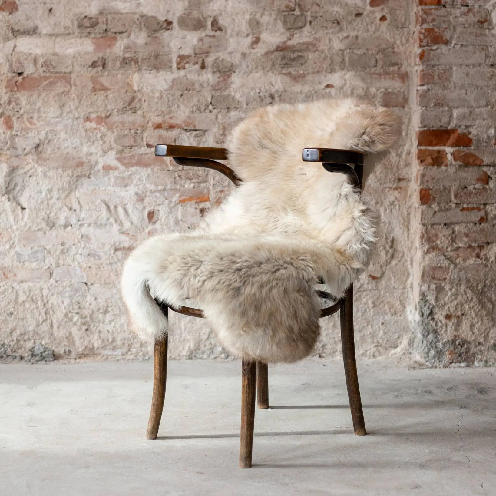 Peau de mouton de Texel mélangée Van Buren