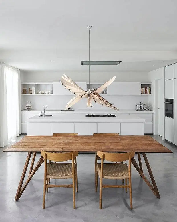Albatros ATELIER LOUPIOTE